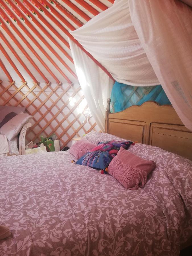 Yurta De Arico Hotell Arico Viejo Eksteriør bilde