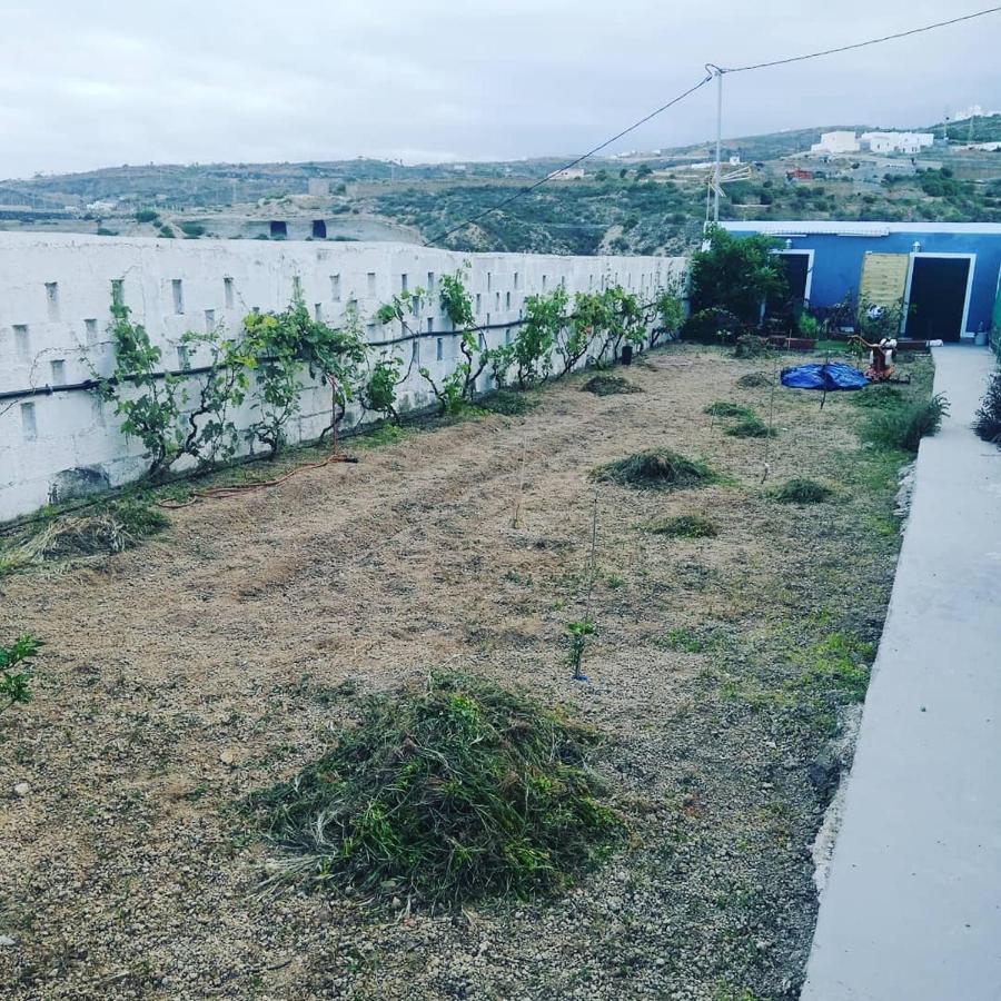 Yurta De Arico Hotell Arico Viejo Eksteriør bilde